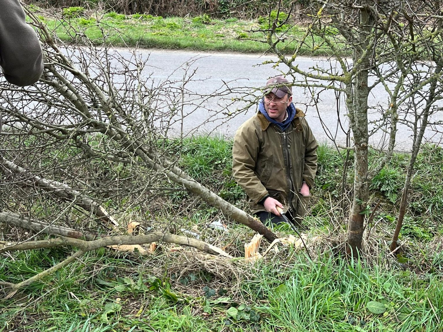 man making hedgerow